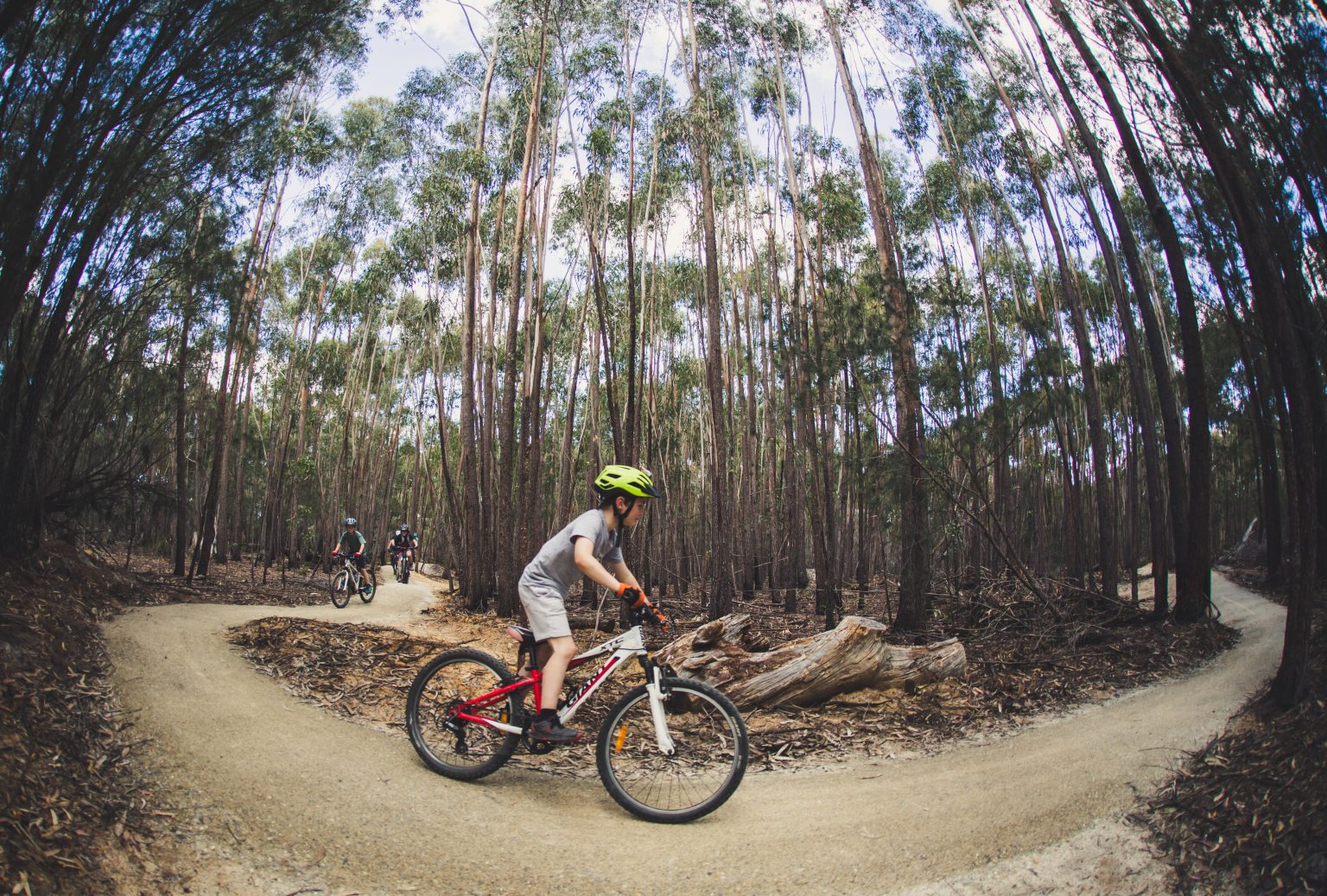 The St Helens Mountain Bike Trails are located in two unique locations; You will find a series of stacked loops just south of the St Helens Township as well as an epic 42km wilderness trail that starts sat the top of the Blue Tier and winds and wends all the way to Swimcart beach found in the internationally acclaimed Bay of Fires.